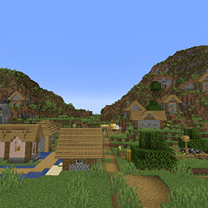 Minecraft village
